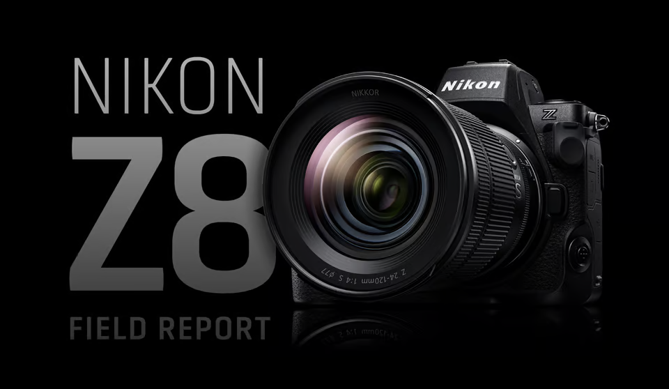 Nikon Z8 Field Report