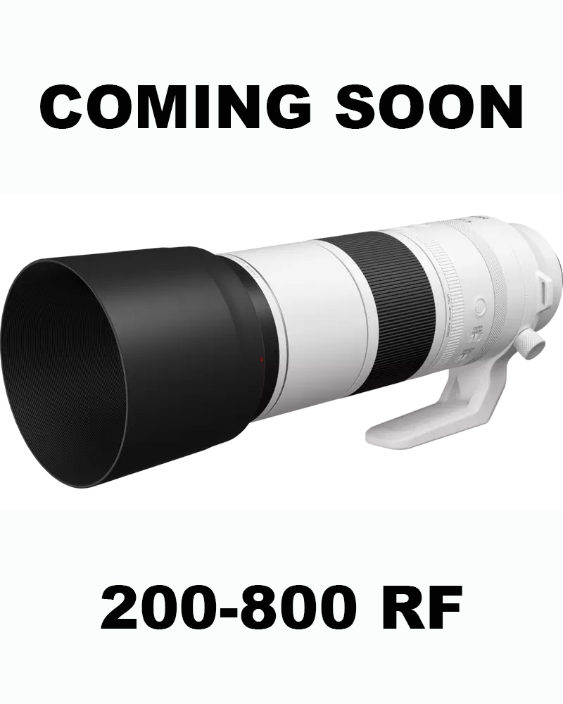 LensCoat® Canon RF 200-800mm f6.3-9 IS USM, LensCoat